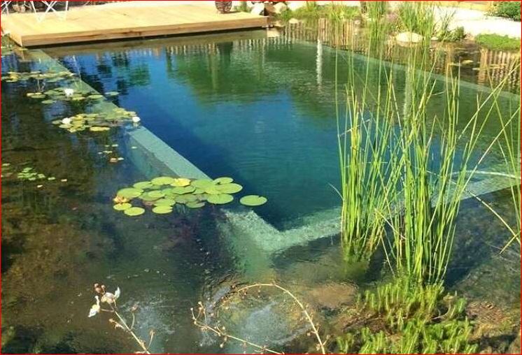 Hồ bơi thiên nhiên - Thiết Bị Bể Bơi Gia Hưng - Công Ty TNHH Xây Dựng Thương Mại Xuất Nhập Khẩu Gia Hưng
